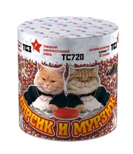 Мурзик и Барсик ТС720